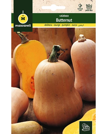 comprar Semillas Calabaza Butternut online -